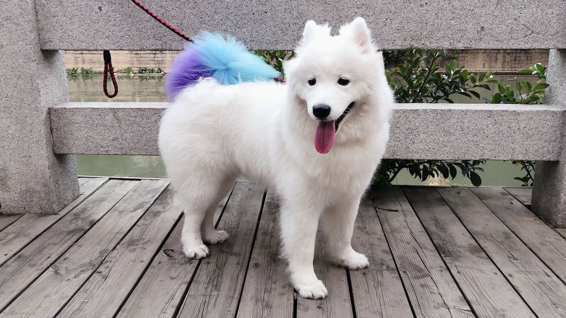 当俱乐部穿上国旗，切尔西国家队世界杯首秀纪实