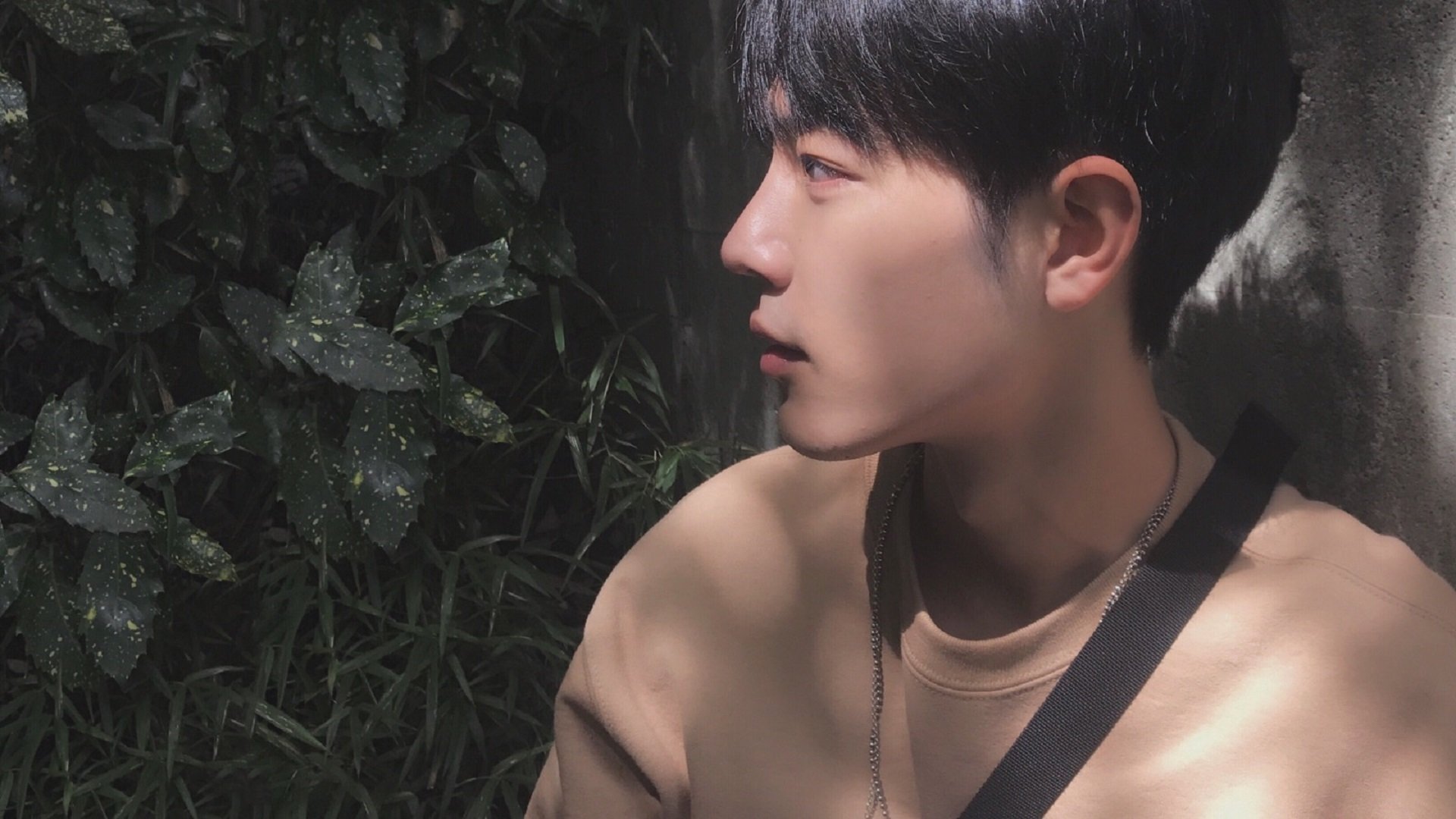 天山雪豹吞波特兰，德罗赞单骑定疆域