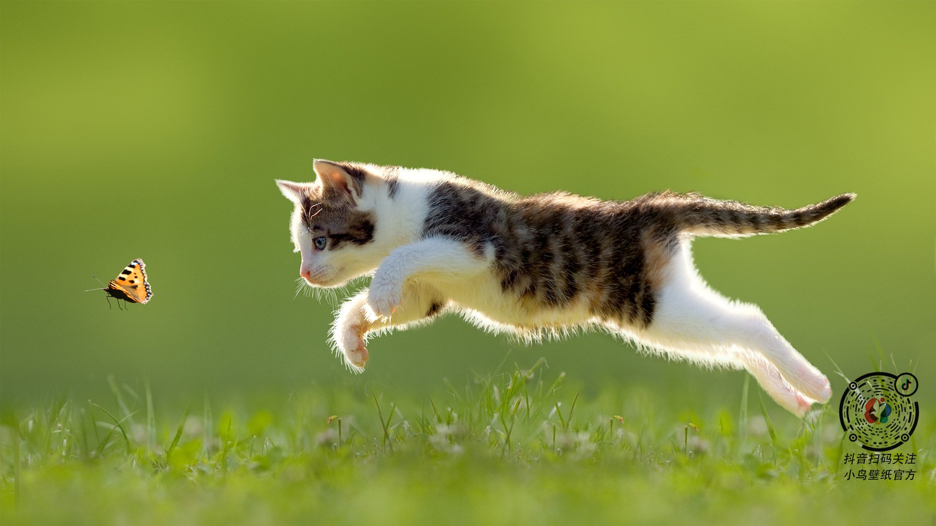 爱游戏官方入口-欧冠半决赛之夜，那一箭，刺破的是星辰还是旧神？