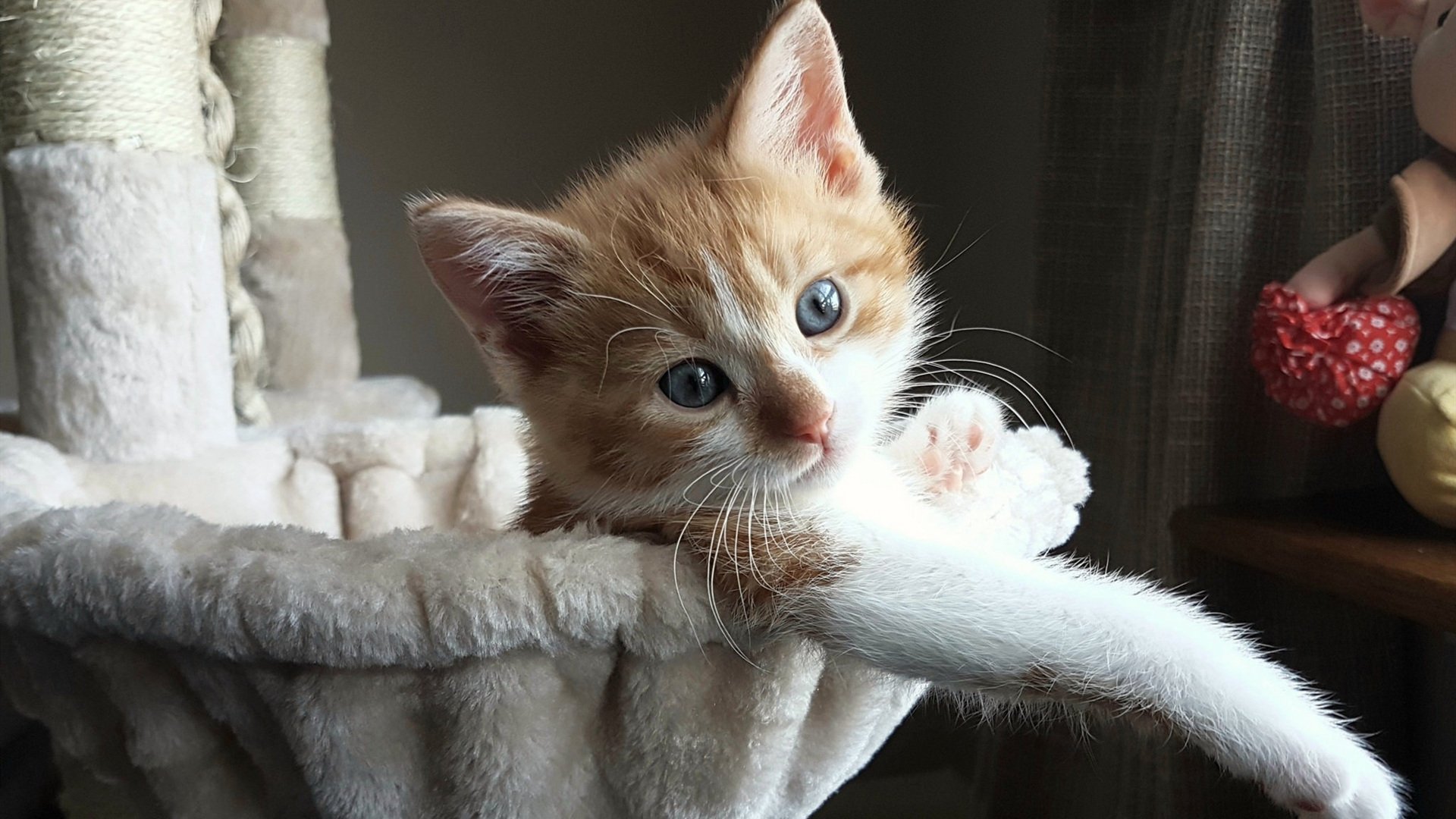 爱游戏-两种终场哨音，快船破晓与克莱的黄昏