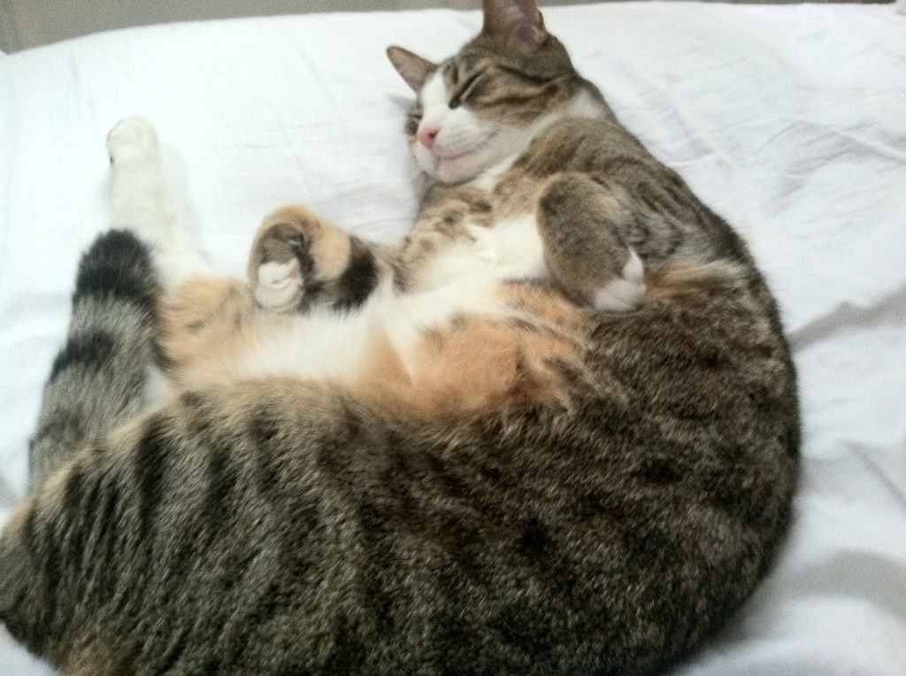 风暴眼贝恩，一夜之间，他让所有关于悬念的讨论变得多余