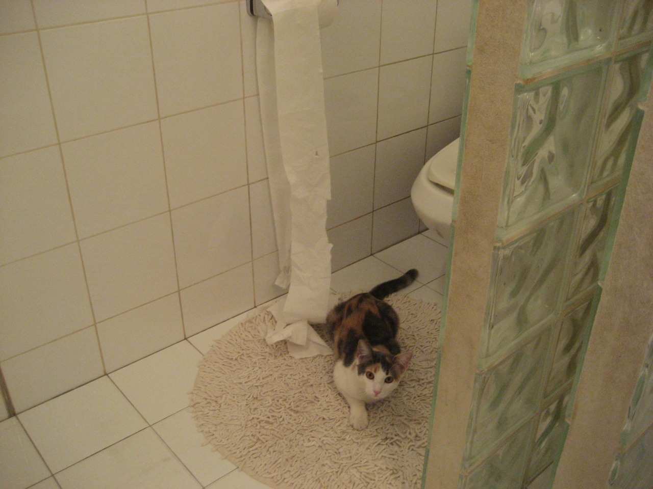 爱游戏大厅-广厦队强势拿下猛龙，杰伦格林诠释何为末节之王