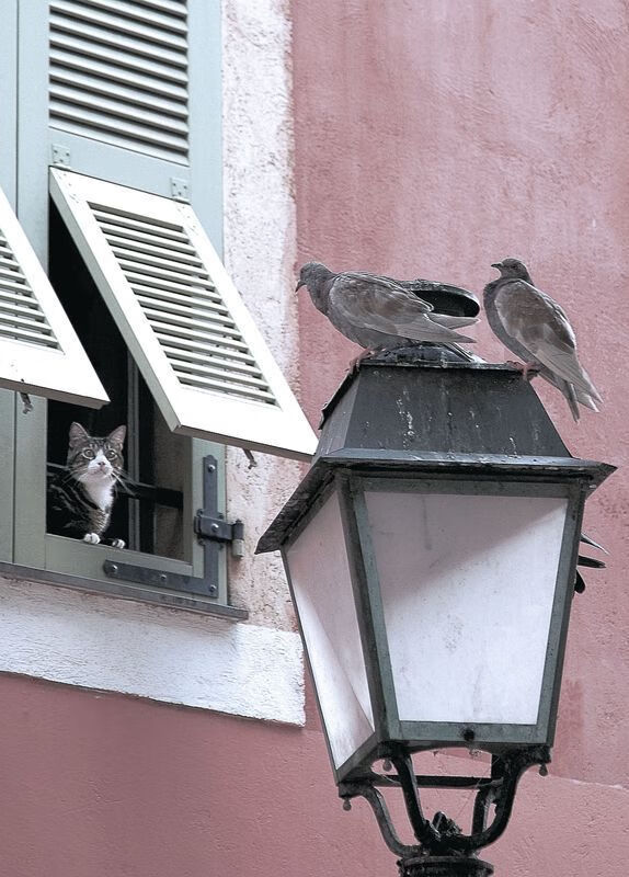 爱游戏大厅-门迪爆发！委内瑞拉火山如何粉碎马德里竞技的钢铁堡垒