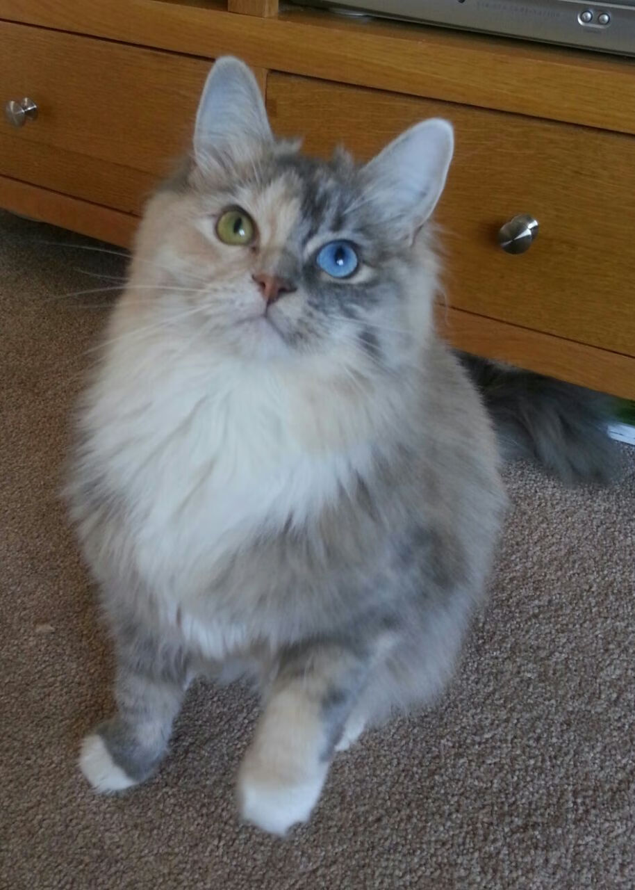 唯一真相？当公牛压哨绝杀湖人，班凯罗却在总决赛接管比赛—谁偷走了谁的剧本？