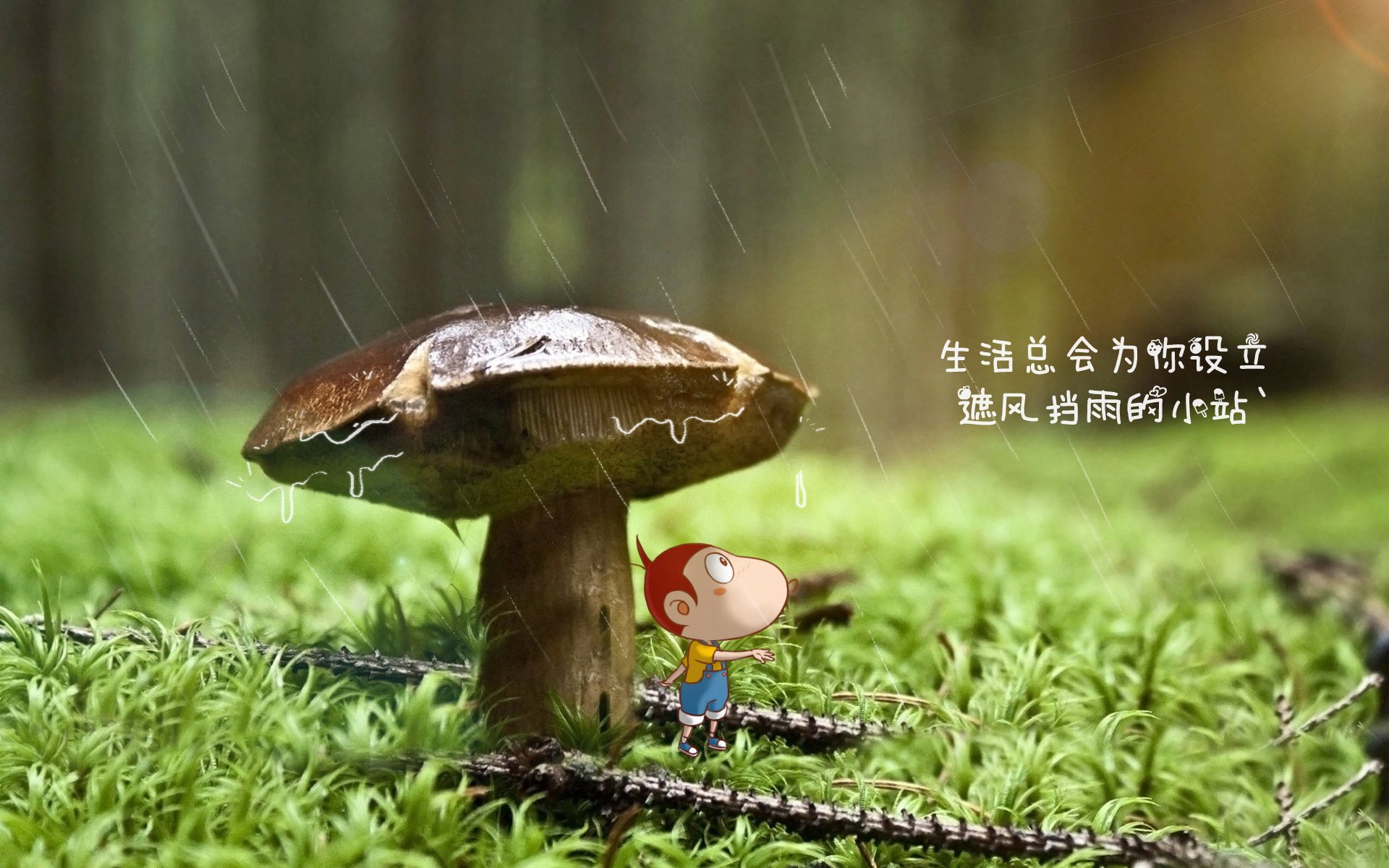 爱游戏体育-东方旋风横扫非洲劲旅，2026世界杯E组焦点战，泰国完胜加纳，莱万多夫斯基主导比赛，快速反击犀利如刀
