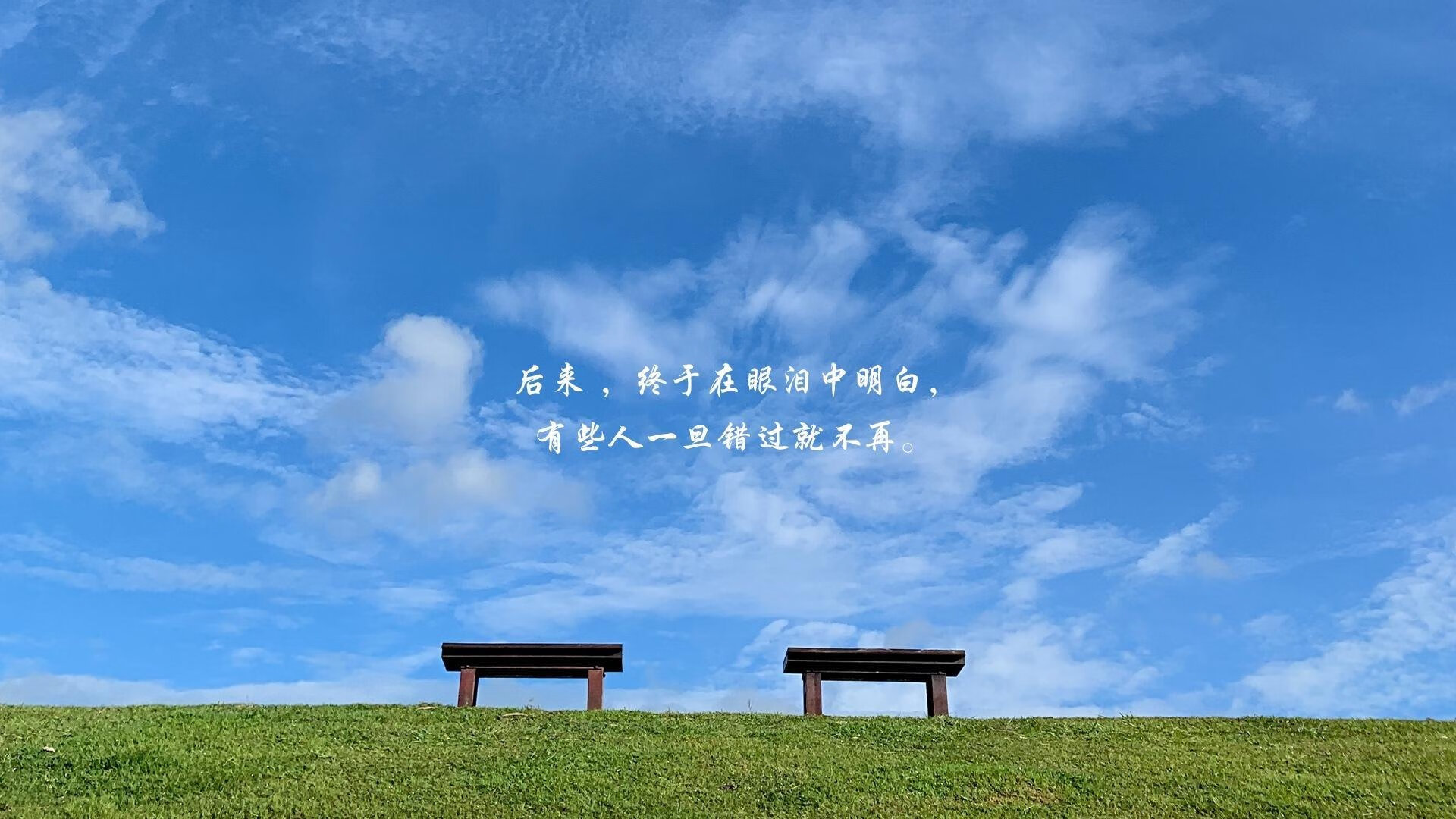 非常有冲击力,融合了地缘政治的宿命感、竞技体育的戏剧性以及英雄主义的叙事。我们可以从几个不同的角度来构思标题,让文章的核心张力最大化
