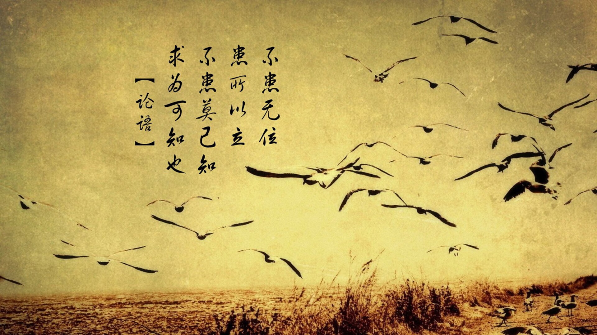 冰与火之歌，2026世界杯F组关键战，冰岛碾压比利时，萨内带队逆转翻盘