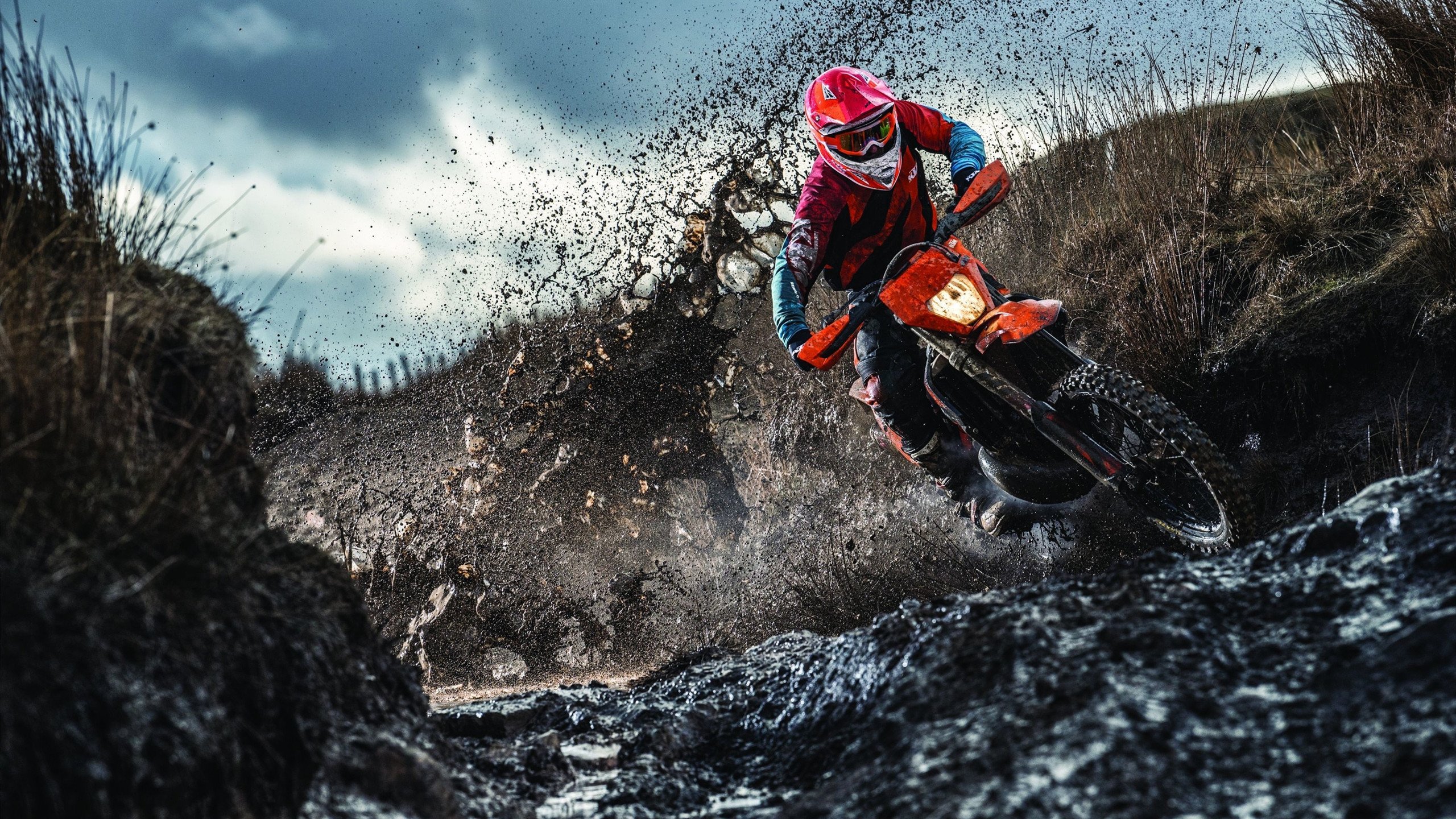 郁金香风暴,京多安绝地救赎,荷兰在D组最强对话中逆转厄瓜多尔